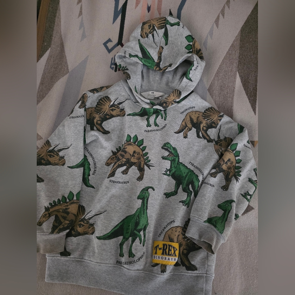 H&M Dinosaur Print Kids Hoodie